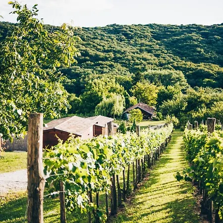 Nocleg ze śniadaniem Dutch Hill *