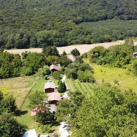 Dutch Hill Couette-café