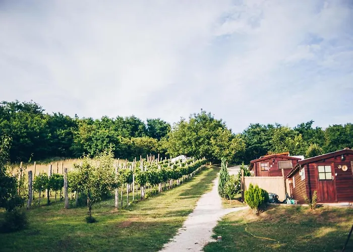 Dutch Hill * Zalacsány